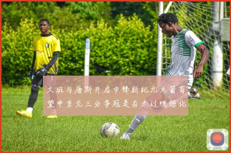 文班与唐斯开启中锋新纪元火箭寄望申京无三分争冠是否太过理想化