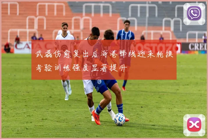 武磊伤愈复出后海港锋线迎来轮换考验训练强度显著提升